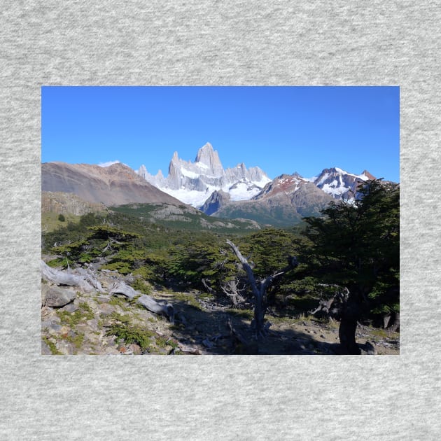 Mount Fitz Roy El Chalten by stevepaint